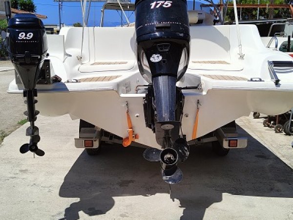 MOSTRO FAMILY 650 #2